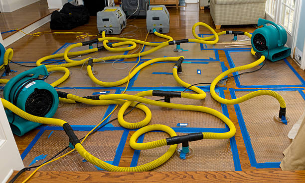 Professional Storm Water Damage Restoration technician working in Park City, TN